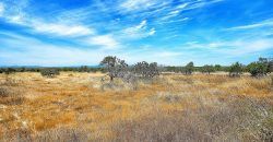 Amazing waterfront villa for sale in Cala D’Or