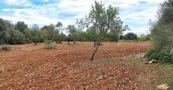 Terreno en venta junto a Ses Salines