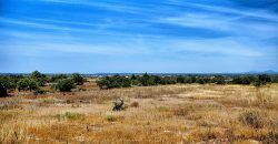 Amazing waterfront villa for sale in Cala D’Or