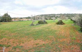 Terreno edificable en venta junto a Ses Salines