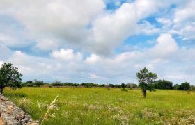 Terreno edificable en venta junto a Ses Salines
