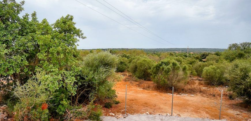 Country house to rent in Santanyi