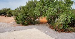 Country house to rent in Santanyi