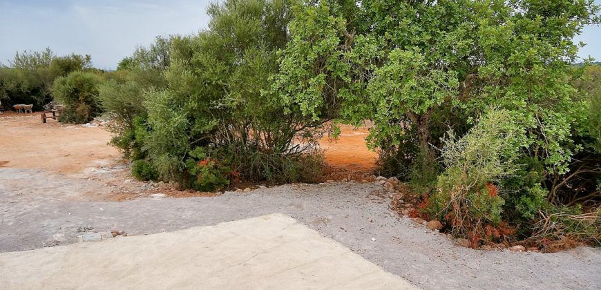 Country house to rent in Santanyi