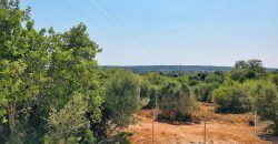 Country house to rent in Santanyi