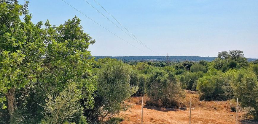 Country house to rent in Santanyi