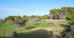 Country home to rent in Colonia de Sant Jordi