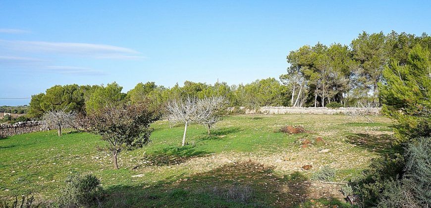 Country home to rent in Colonia de Sant Jordi