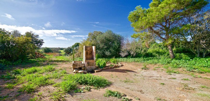 Renoviertes Dorfhaus mit Garten und Meerblick zur Miete in Ses Salines