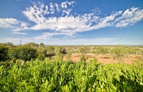 Spacious Village House with Sea Views & Terraces in Ses Salines