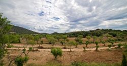 Casa de campo con piscina en Santanyí