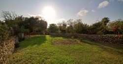 Casa con amplio jardín en Ses Salines