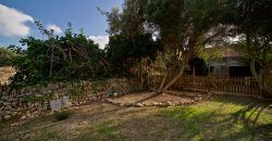 Casa con amplio jardín en Ses Salines