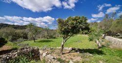 Finca zu verkaufen in der Nähe von Es Carritxó