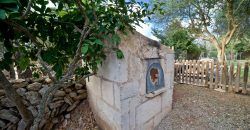 Casa con amplio jardín en Ses Salines
