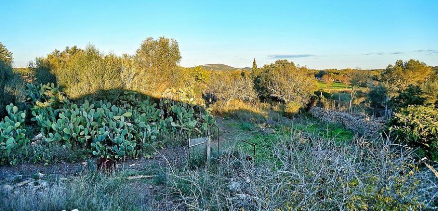 Casa de campo a renovar en venta en Ses Salines