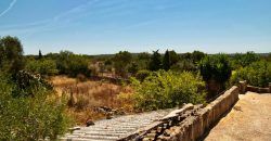 Casa de campo a renovar en venta en Ses Salines