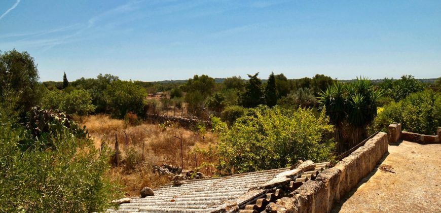 Casa de campo a renovar en venta en Ses Salines