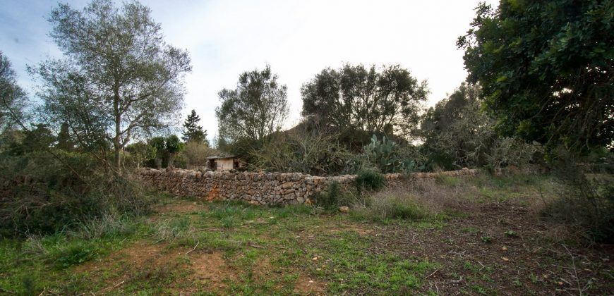 Casa de campo a renovar en venta en Ses Salines