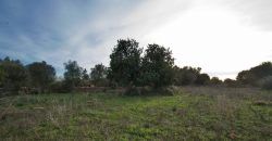 Casa de campo a renovar en venta en Ses Salines