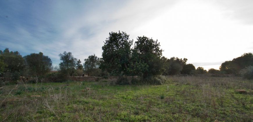 Casa de campo a renovar en venta en Ses Salines