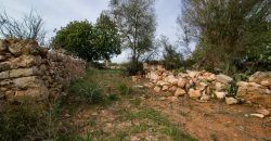 Casa de campo a renovar en venta en Ses Salines