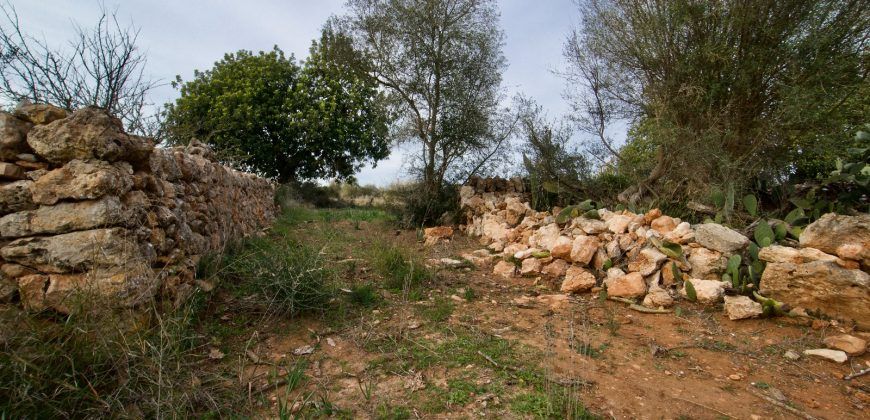 Casa de campo a renovar en venta en Ses Salines