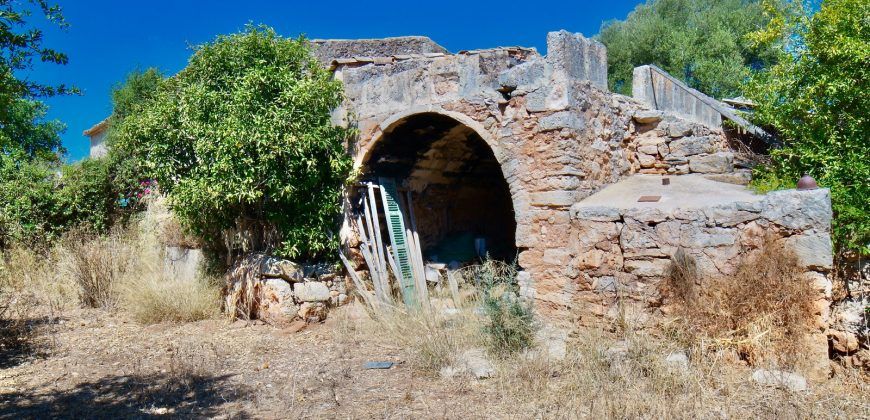Casa de campo a renovar en venta en Ses Salines