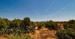 Casa de campo a renovar en venta en Ses Salines