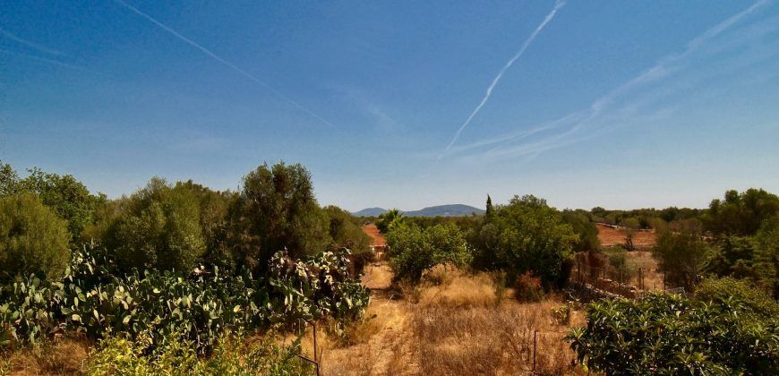 Casa de campo a renovar en venta en Ses Salines