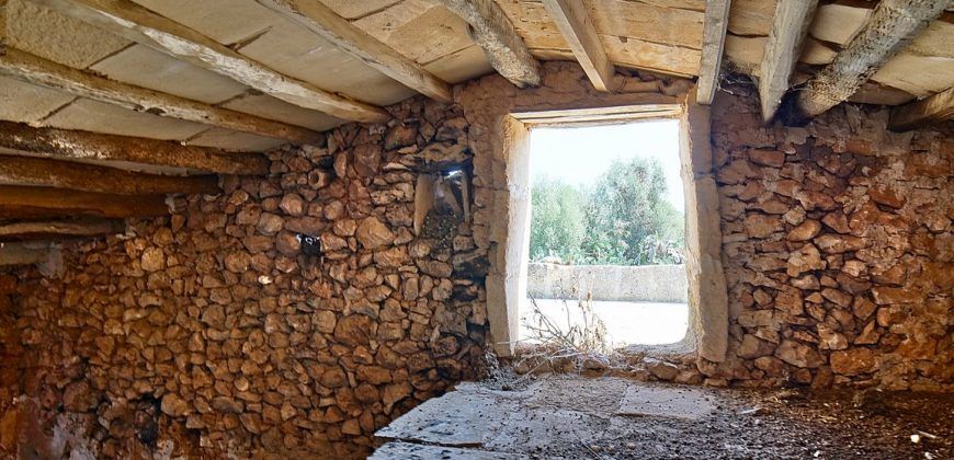 Casa de campo a renovar en venta en Ses Salines