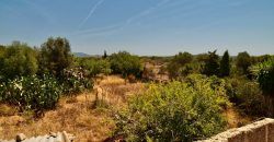 Casa de campo a renovar en venta en Ses Salines