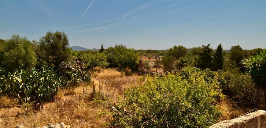 Casa de campo a renovar en venta en Ses Salines