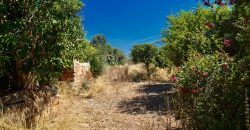Casa de campo a renovar en venta en Ses Salines