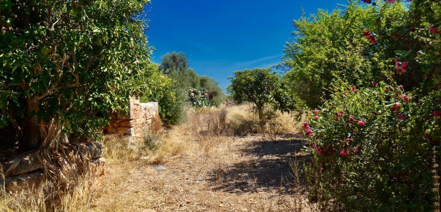Casa de campo a renovar en venta en Ses Salines