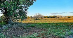 Casa de campo a renovar en venta en Ses Salines