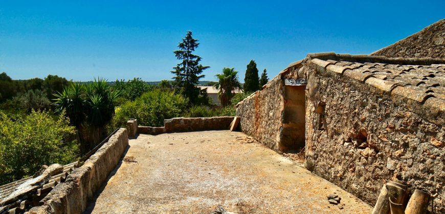 Casa de campo a renovar en venta en Ses Salines