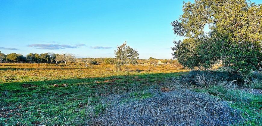 Casa de campo a renovar en venta en Ses Salines