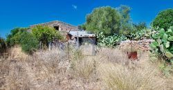 Casa de campo a renovar en venta en Ses Salines