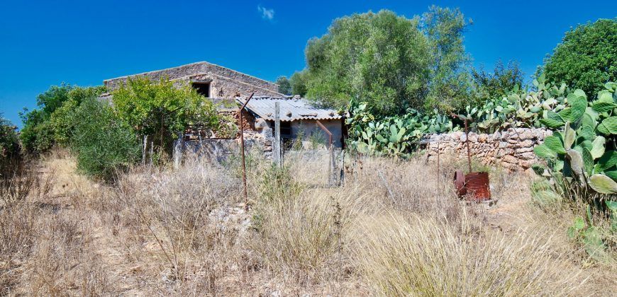 Casa de campo a renovar en venta en Ses Salines