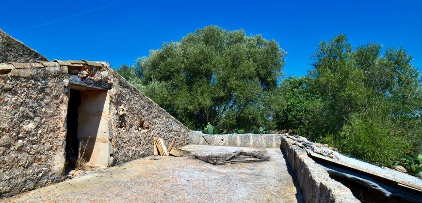 Casa de campo a renovar en venta en Ses Salines