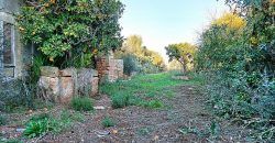 Casa de campo a renovar en venta en Ses Salines