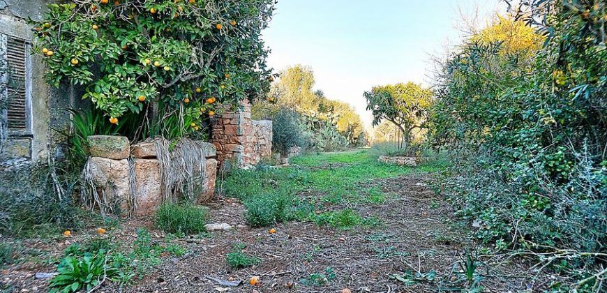 Casa de campo a renovar en venta en Ses Salines