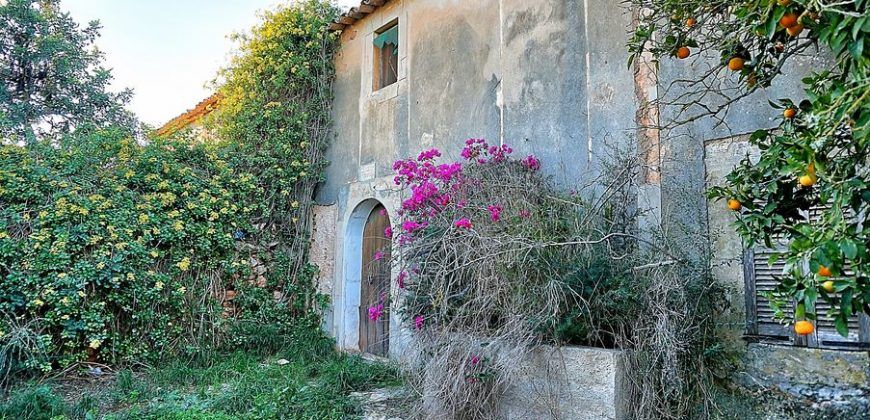 Casa de campo a renovar en venta en Ses Salines