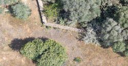 Casa de campo a renovar en venta en Ses Salines