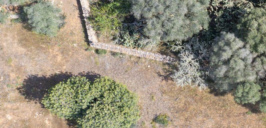 Casa de campo a renovar en venta en Ses Salines