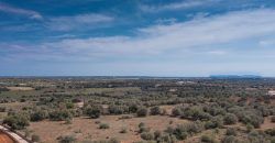 Casa de campo a renovar en venta en Ses Salines
