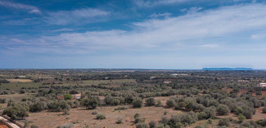 Casa de campo a renovar en venta en Ses Salines