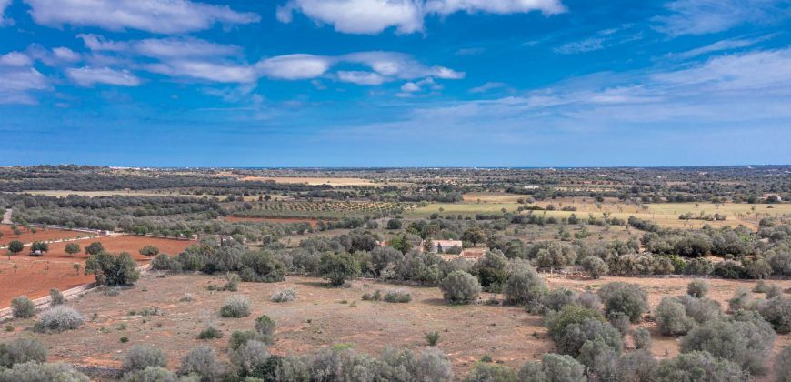 Casa de campo a renovar en venta en Ses Salines