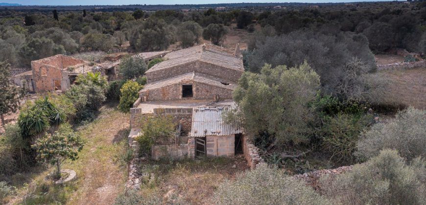 Casa de campo a renovar en venta en Ses Salines